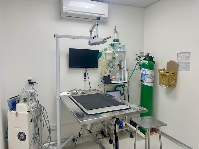 Clínica veterinária na Saúde